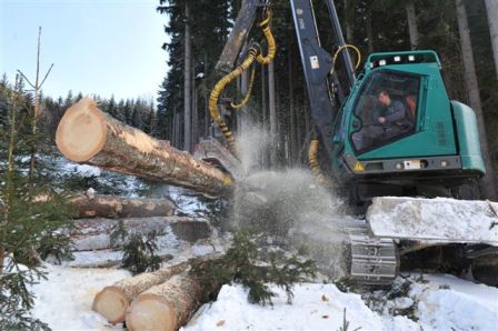 Ťažba dreva v lese jon dier